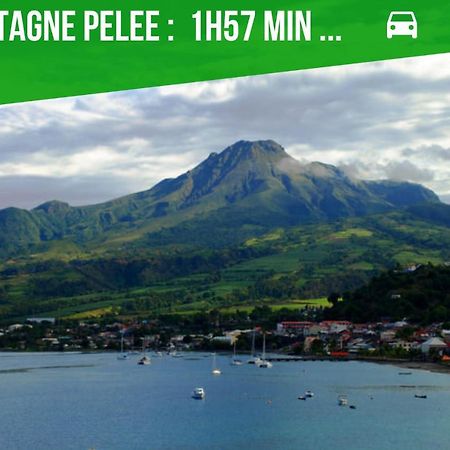 La Villa Noemie - Parking - Proche Des Plages 圣安娜 外观 照片